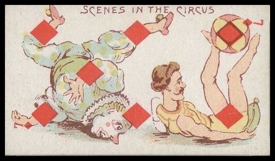 7D Scenes In The Circus